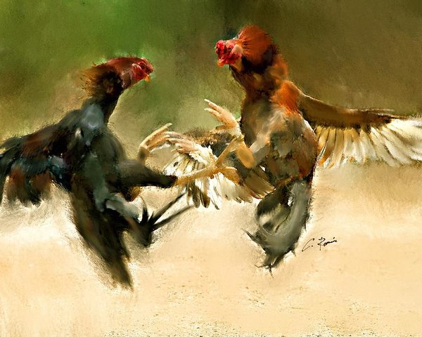 600x480 rooster fight hd poster - Rooster Fight Drawing