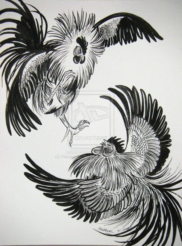 769x1040 Fighting Rooster Drawing - Rooster Fight Drawing