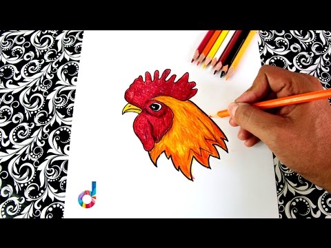 480x360 how to draw a rooster beak, crest, crow's head learning to draw - Rooster Head Drawing