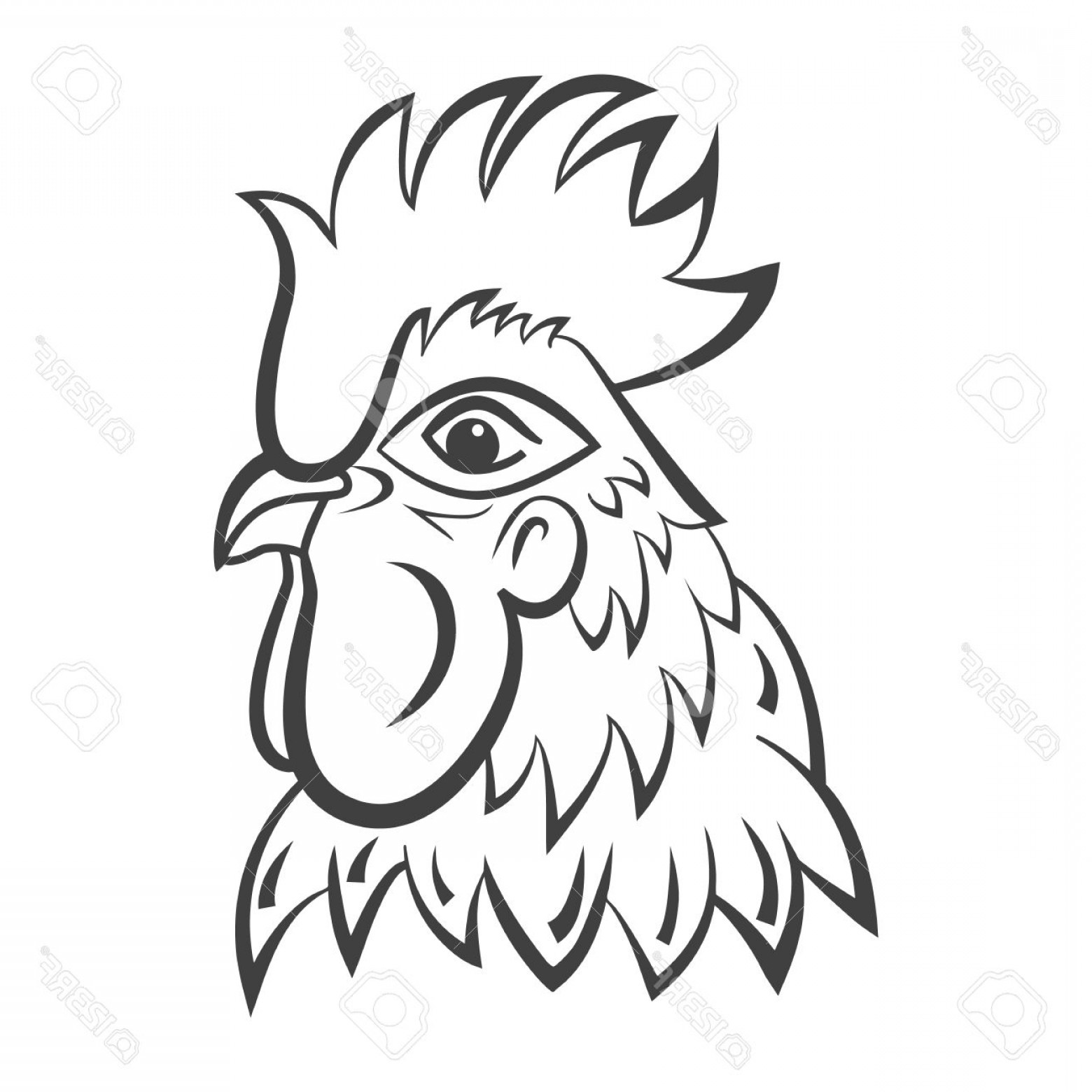 1560x1560 photostock vector rooster mascot isolated rooster head vector - Rooster Head Drawing
