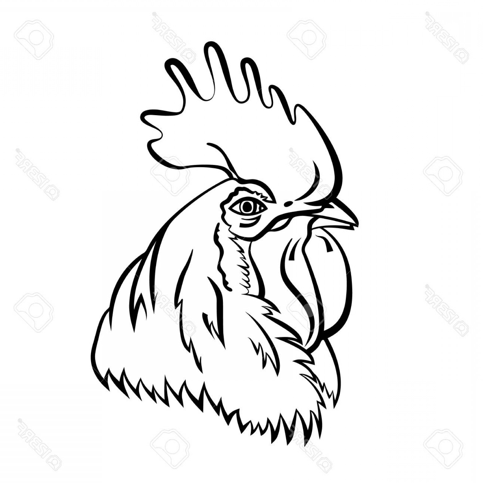 1560x1560 rooster head vector arenawp - Rooster Head Drawing
