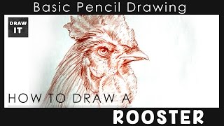 320x180 How To Draw A Rooster Head - Rooster Head Drawing