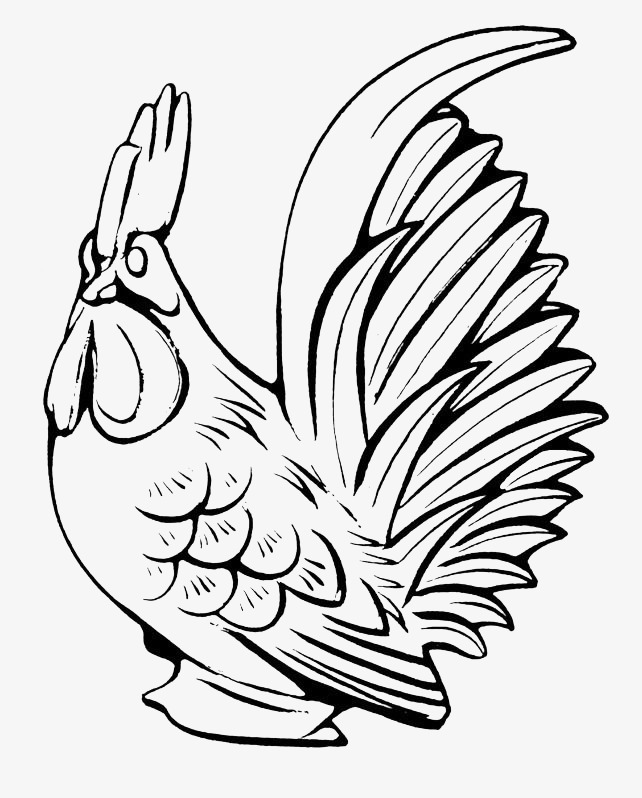 642x798 The Line Drawing, Line Clipart, Sketch Chicken, Rooster Sketch Png - Rooster Line Drawing