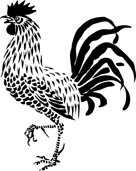 480x600 Rooster Drawing - Rooster Line Drawing