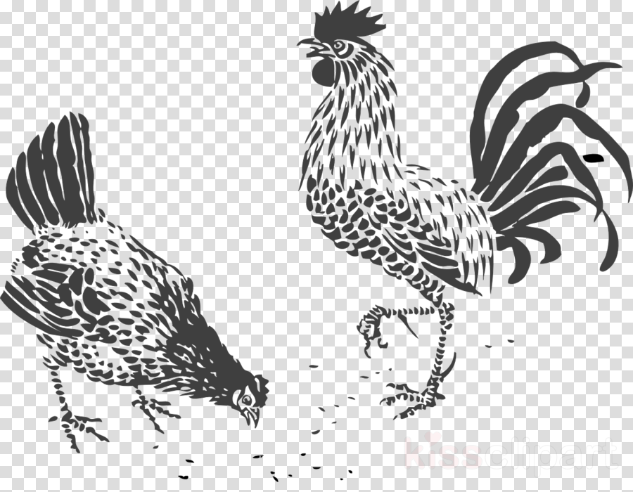 Rooster Line Drawing at Explore collection of