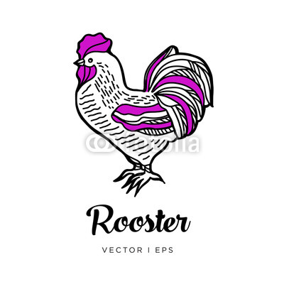 400x400 Hand Drawn Outline Vector, Rooster, New Year Symbol Simple - Rooster Outline Drawing