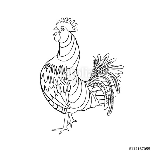 500x500 Image Of A Hand Drawing Cock Or Rooster With Black Outline - Rooster Outline Drawing