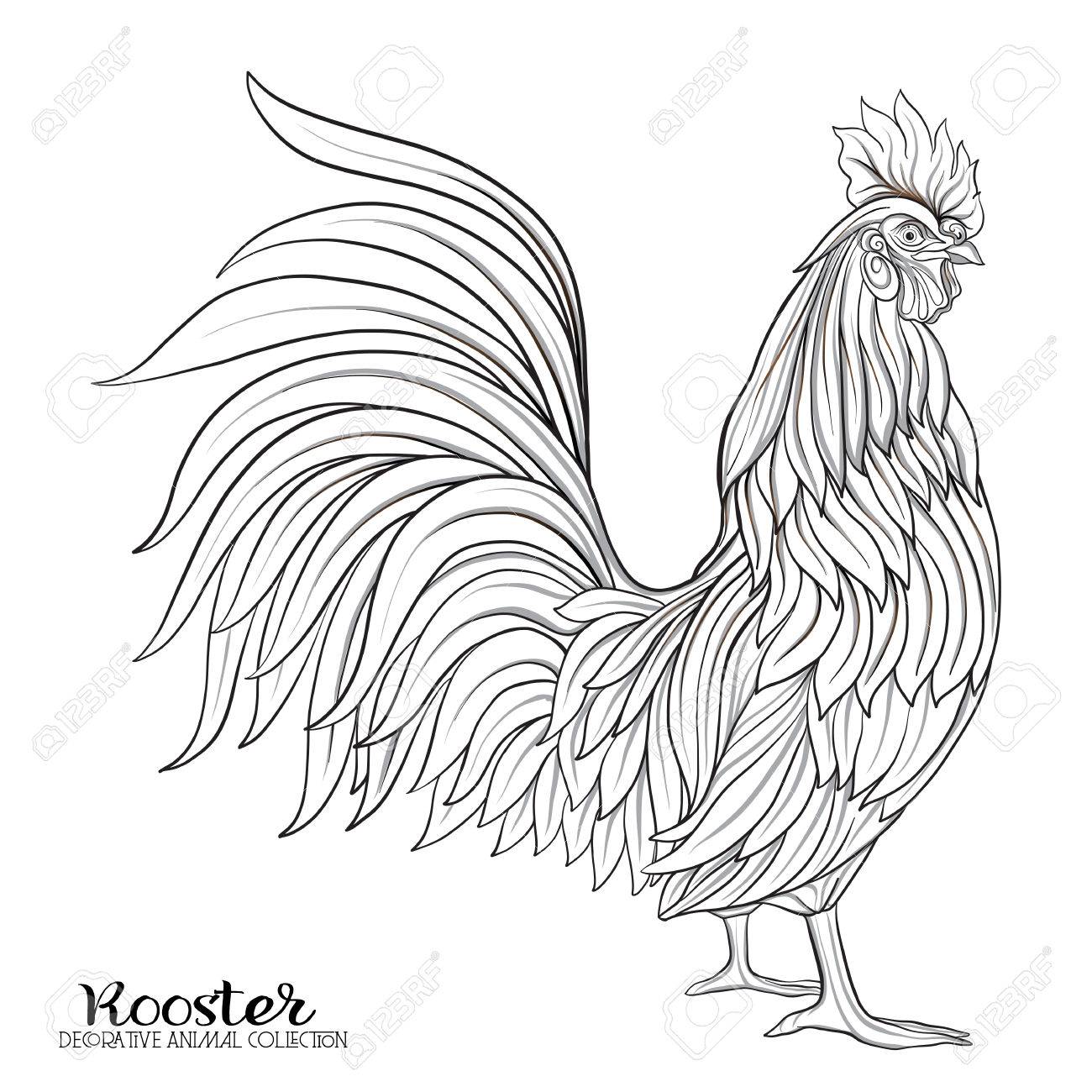 Rooster Outline Drawing at Explore collection of