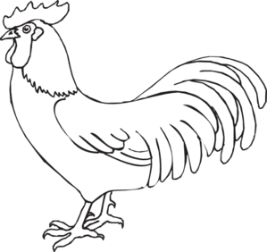 299x282 Rooster Outline Drawing - Rooster Outline Drawing