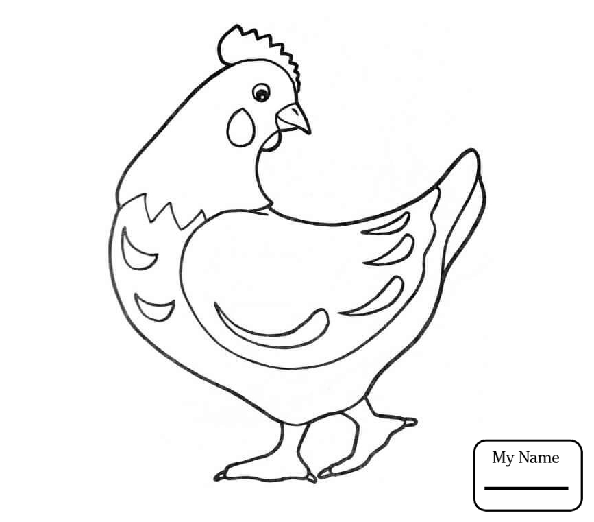 867x761 Chicken Outline - Rooster Outline Drawing