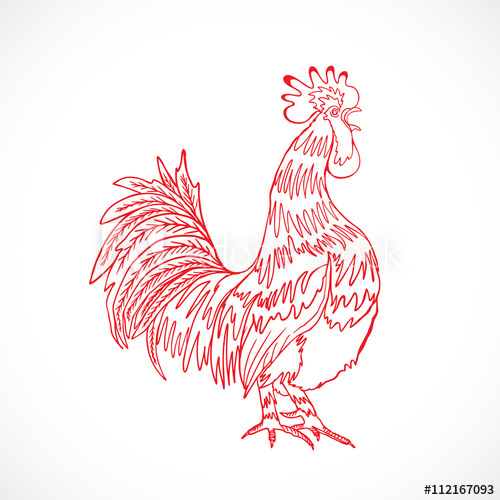 500x500 chinese zodiac rooster design element for chinese new year - Rooster Outline Drawing