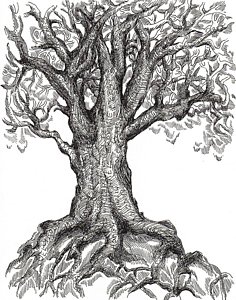 236x300 musical roots drawing - Roots Drawing