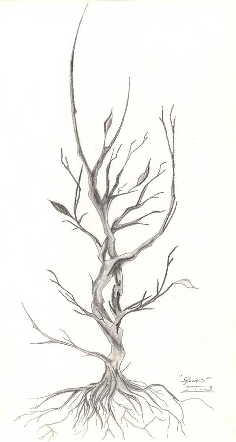 Roots Drawing at PaintingValley.com | Explore collection of Roots Drawing