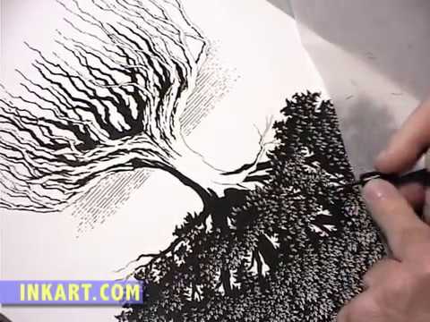 480x360 scratchboard illustration of an oak tree with roots - Roots Drawing