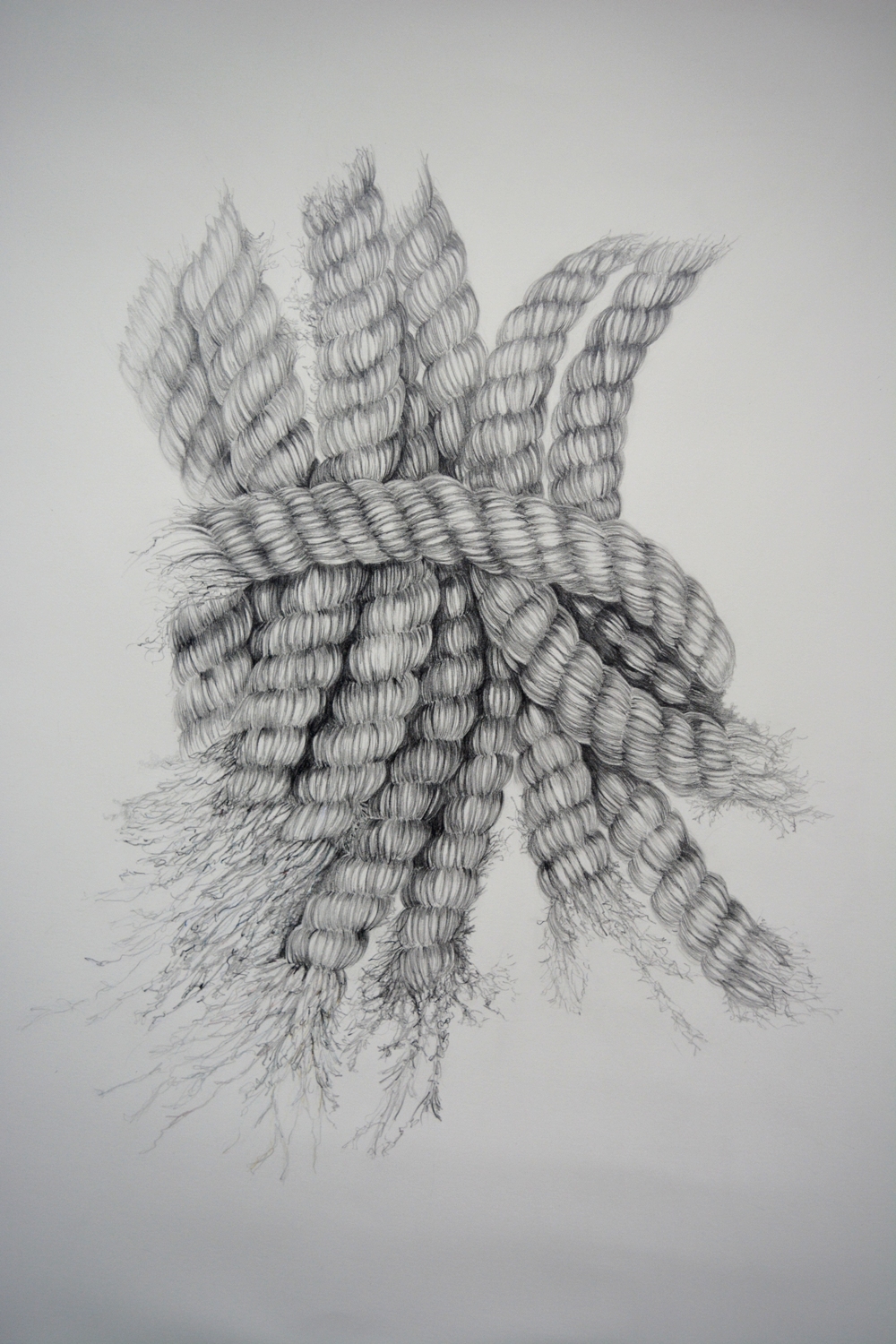1000x1500 Drawings Strawbridge O'hagan - Rope Drawing