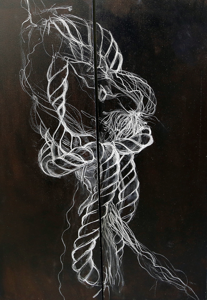 689x1000 Amanda Fuller Artist And Exhibitor Drawings - Rope Drawing