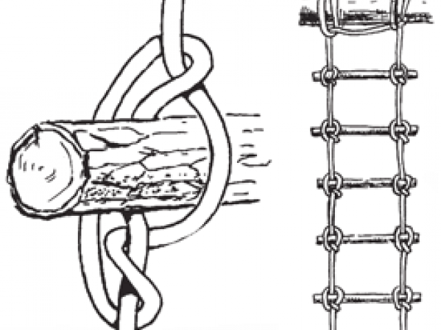 640x480 drawn rope knot drawing - Rope Knot Drawing