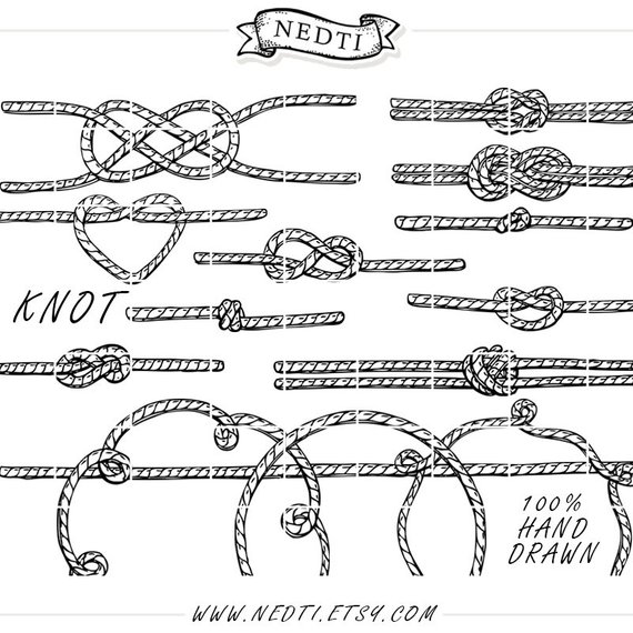 570x570 drawing vector rope for free download - Rope Knot Drawing