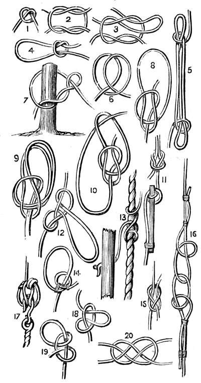 400x762 Useful Knots - Rope Knot Drawing