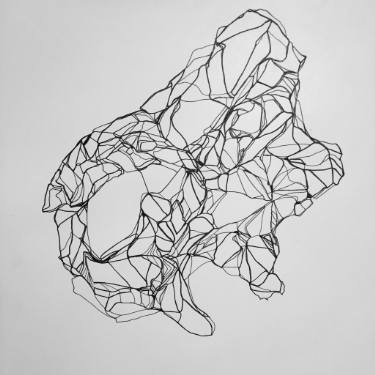 375x375 flux rope iv drawing - Rope Line Drawing