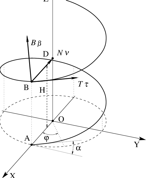 501x611 Spiral Line - Rope Line Drawing