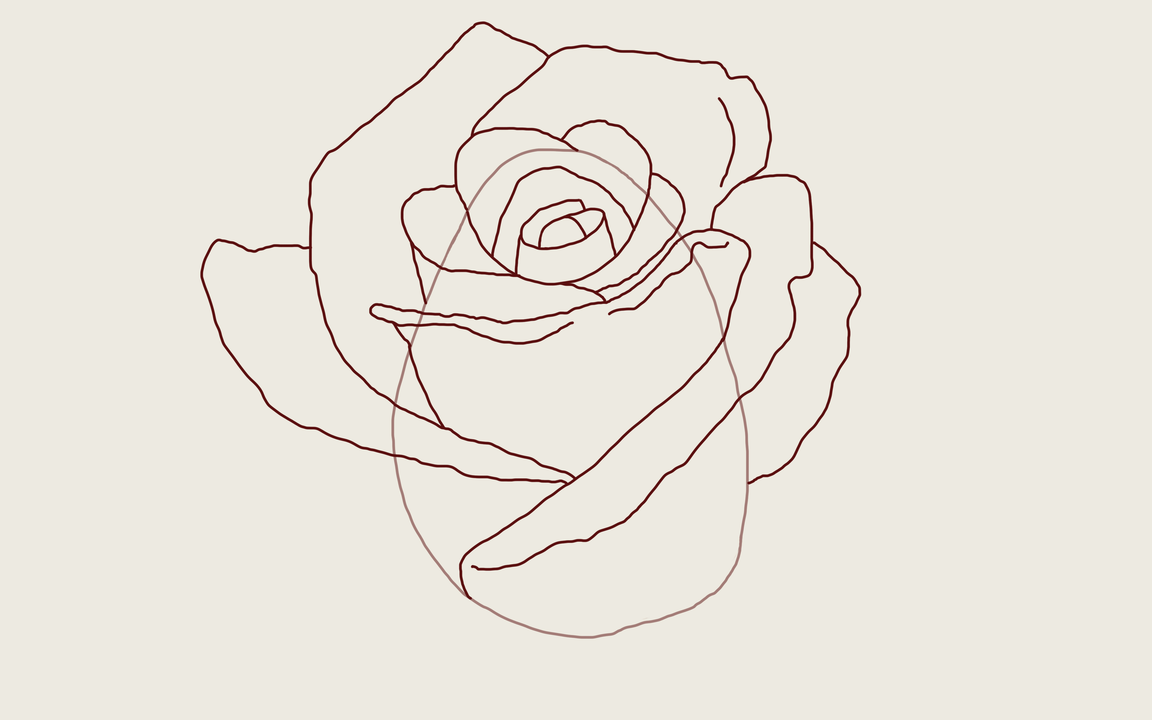 4000x2500 how to draw a rose a step - Rosa Drawing