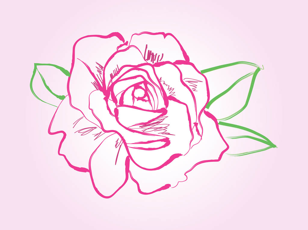 1024x765 rose drawing vector vector art graphics - Rosa Drawing