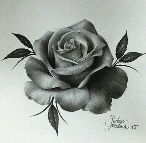 493x484 chicano arte love - Rosa Drawing