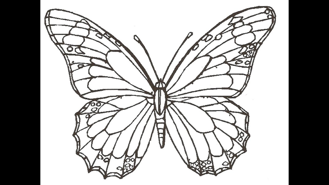 1280x720 How To Draw Butterfly, Rose Flower, Lady Bug Step - Rose And Butterfly Drawing