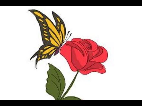480x360 How To Draw A Butterfly On A Flower - Rose And Butterfly Drawing