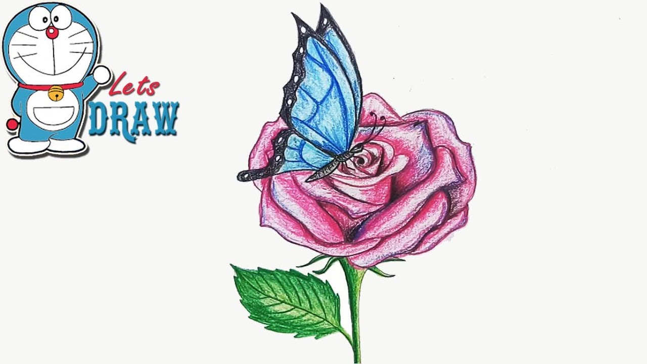 1280x720 How To Draw Butterfly On The Flower Step - Rose And Butterfly Drawing