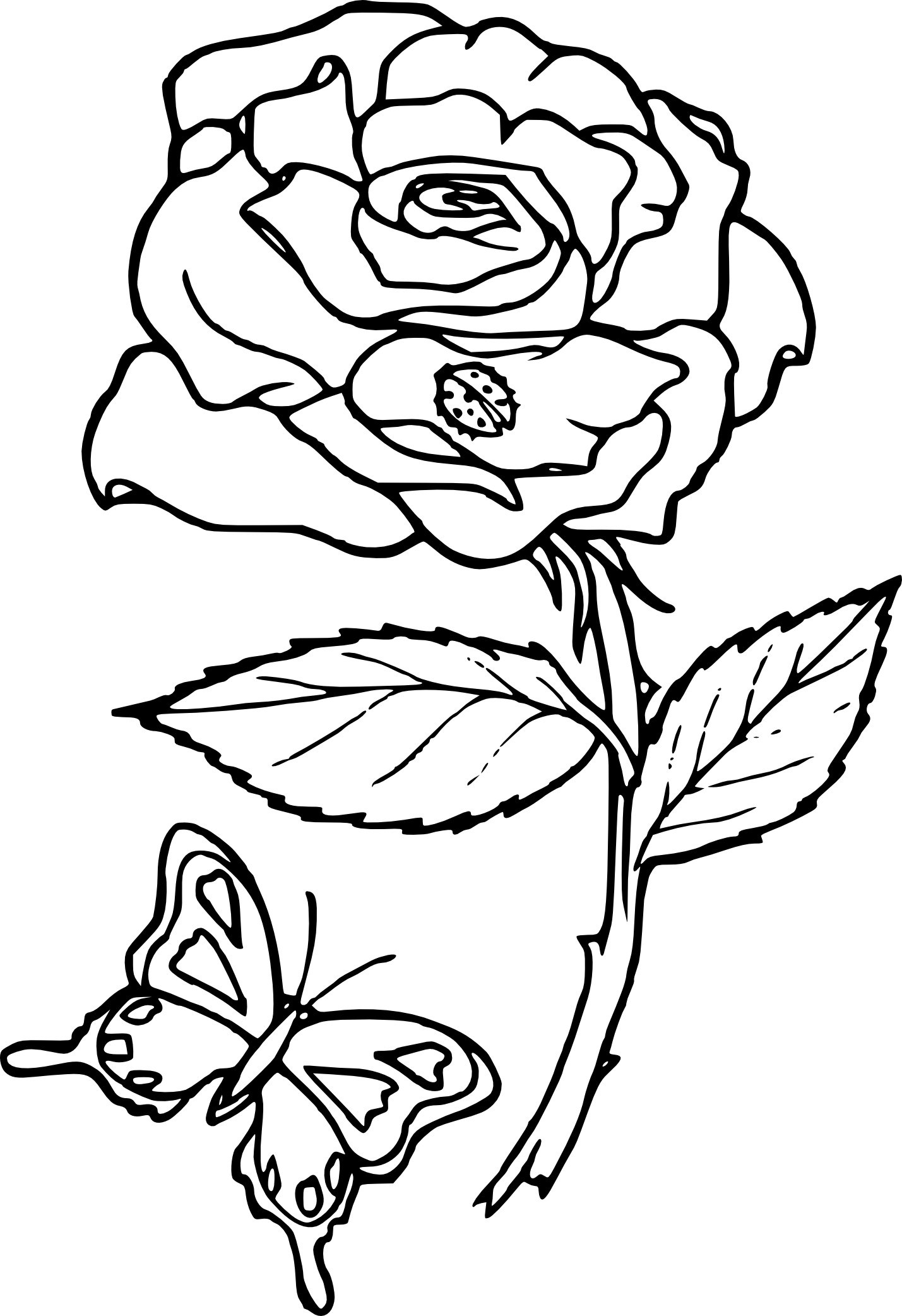 1429x2084 Rose Butterfly Coloring - Rose And Butterfly Drawing