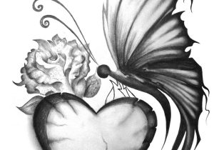 300x210 sketches of roses and butterflies butterfly drawing sketch - Rose And Butterfly Drawing