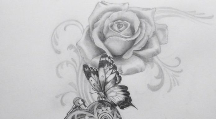 Rose And Butterfly Drawing at PaintingValley.com | Explore collection ...