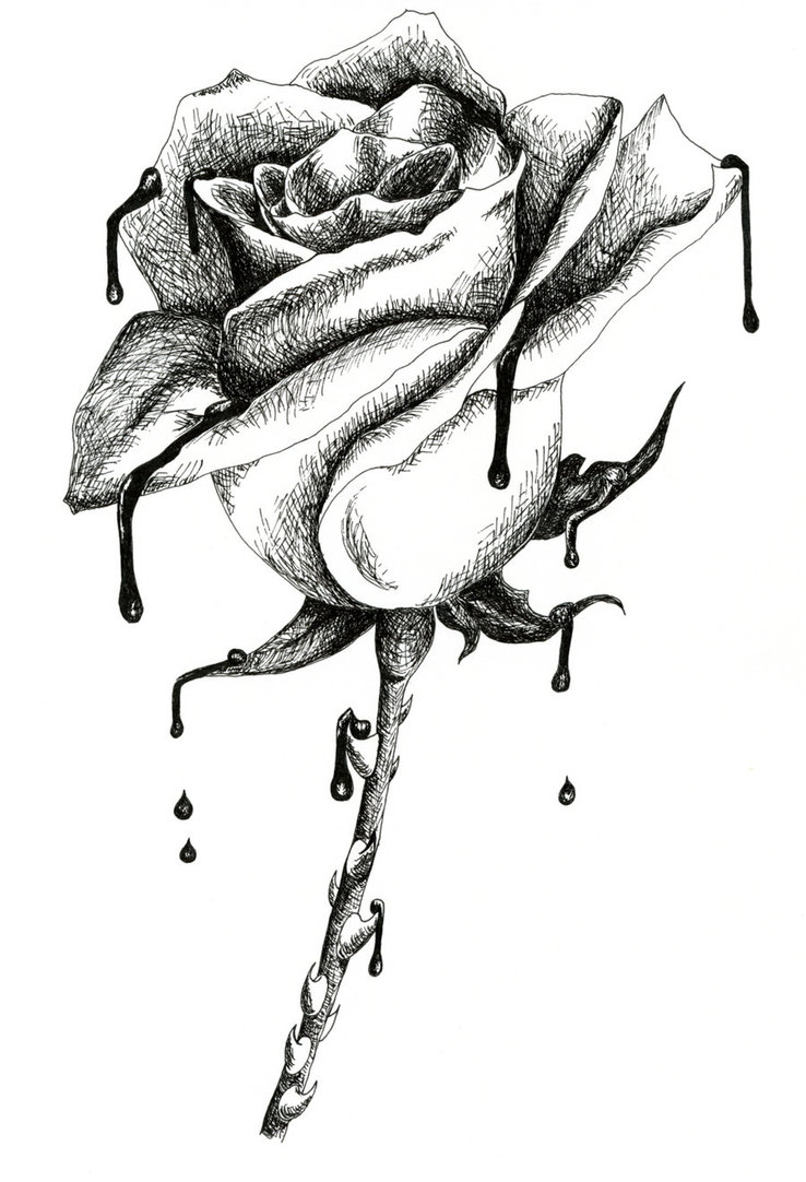 738x1082 Roses And Crosses Drawings - Rose And Cross Drawings. 