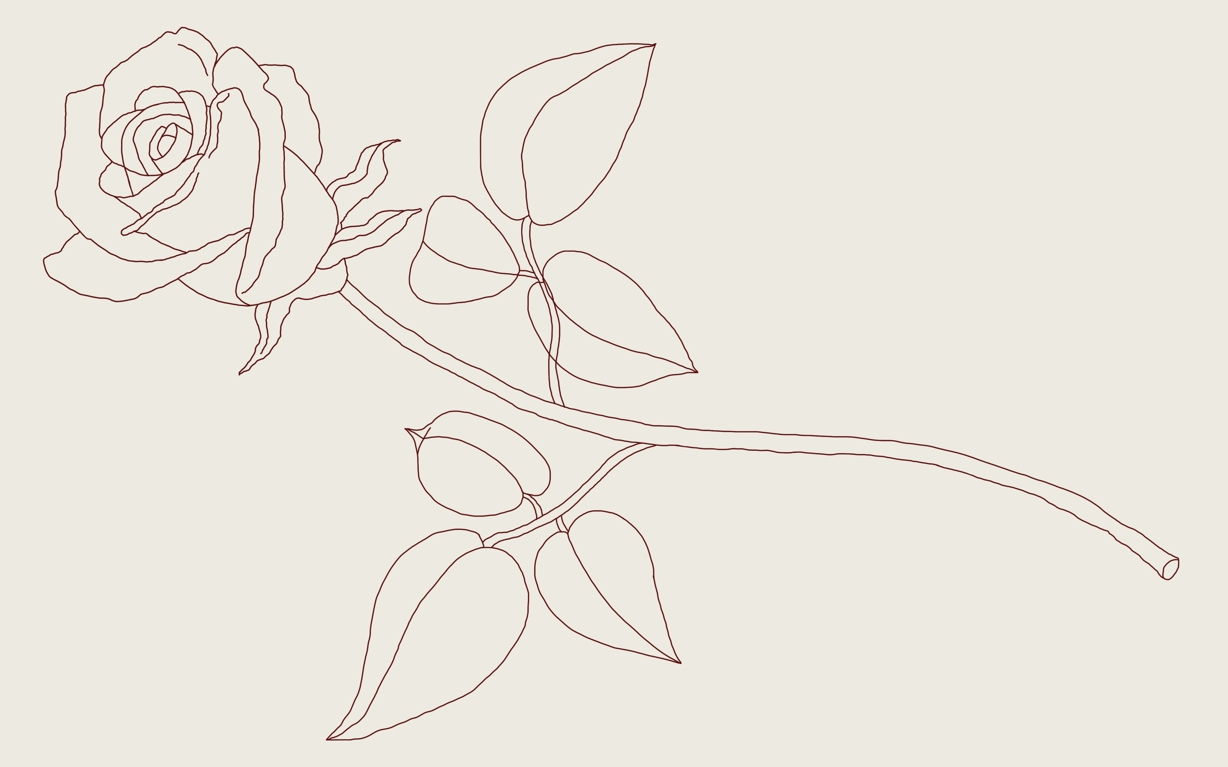 4000x2500 How To Draw A Rose A Step - Rose And Stem Drawing