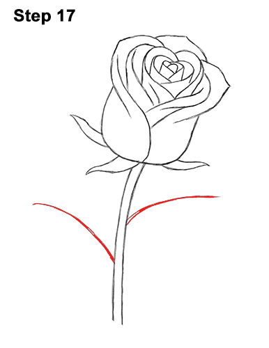 Rose And Stem Drawing at PaintingValley.com | Explore collection of ...