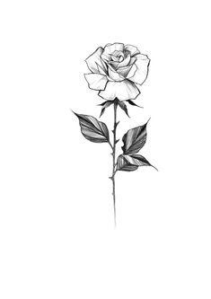 235x333 how to draw roses gif pixels paintings and art rose - Rose And Stem Drawing