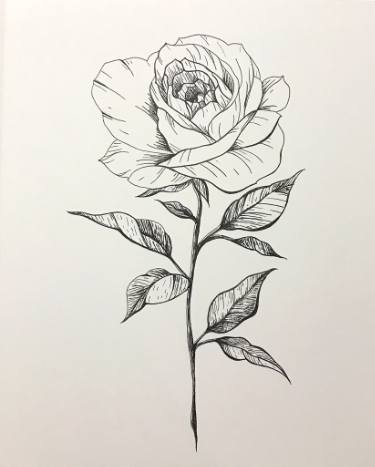 375x467 Rose Lines Drawing - Rose Art Drawing