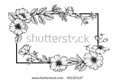 Rose Border Drawing