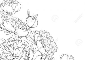 300x210 flower sketch border flower borders drawing drawing laurels flower - Rose Border Drawing