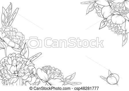 450x319 peony rose garden flowers corner border frame peony rose garden - Rose Border Drawing