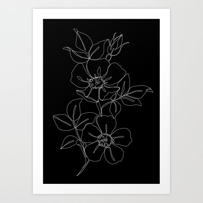 700x700 botanical illustration one line drawing - Rose Botanical Drawing