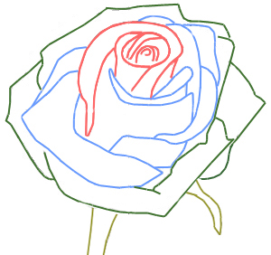 300x282 how to draw a rose bud - Rose Bud Drawing