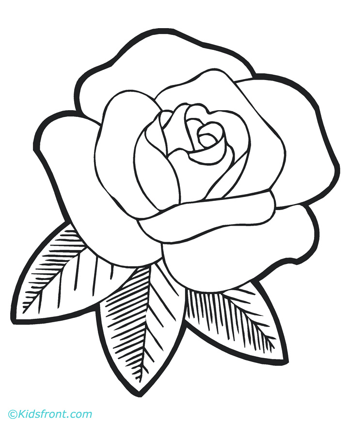720x880 how to draw a rose bud easy free line drawing a rose download free - Rose Bud Drawing