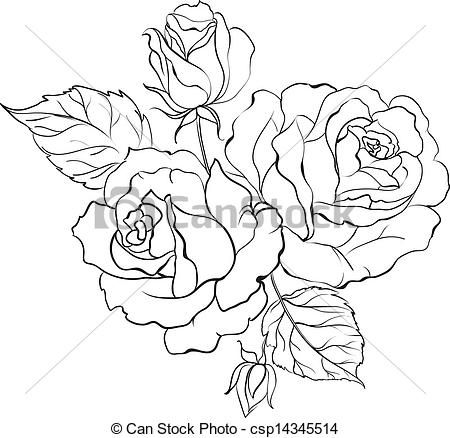450x438 Gallery Rose Bouquet Drawing - Rose Bunch Drawing