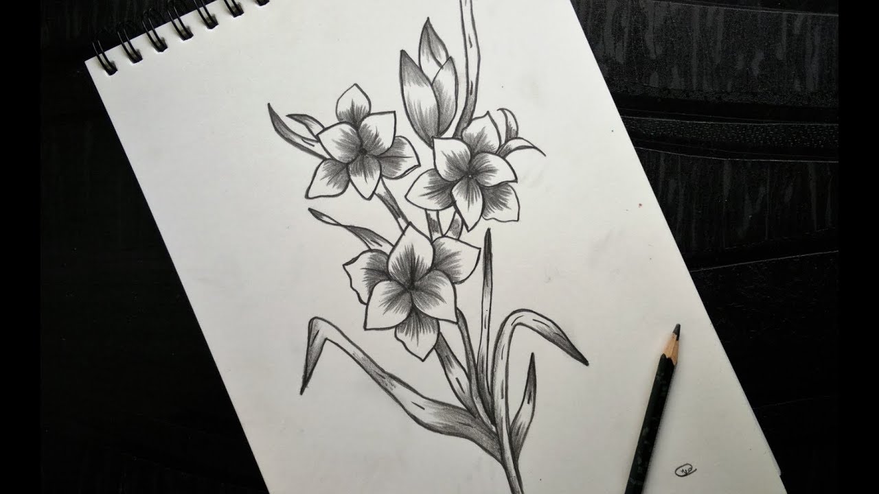 1280x720 how to draw flower bunch easily step - Rose Bunch Drawing