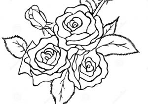 300x210 Pencil Drawing Flower Bunch Bunch Of Rose Pencil Drawing Flower - Rose Bunch Drawing