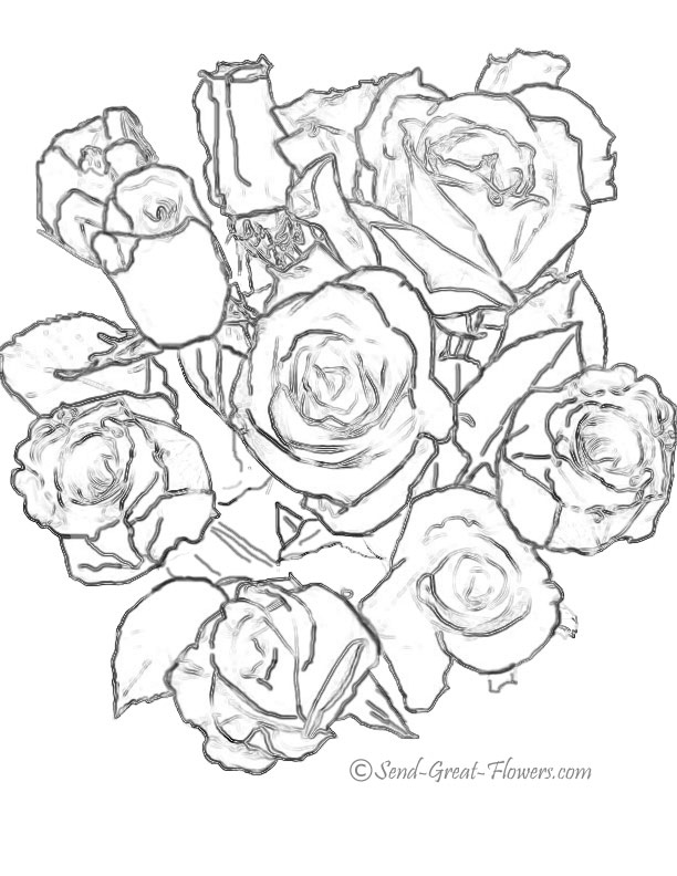 612x792 Rose Bunch Drawing - Rose Bunch Drawing