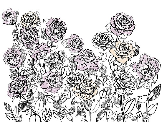 550x413 rose bush drawing graphic design posters - Rose Bush Drawing